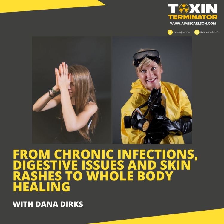 cover art for From Chronic Infections, Digestive Issues and Skin Rashes To Whole Body Healing with Dana Dirks