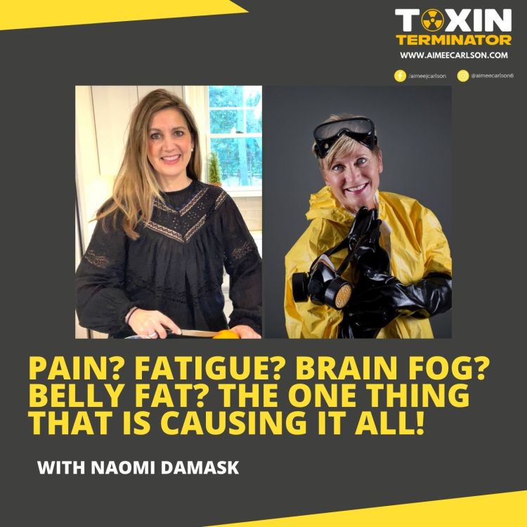 cover art for Pain? Fatigue? Brain Fog? Belly Fat? The ONE Thing That Is Causing It All! with Naomi Damask