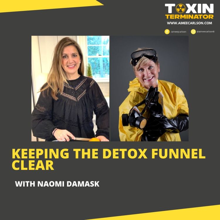 cover art for Keeping the Detox Funnel Clear with Naomi Damask