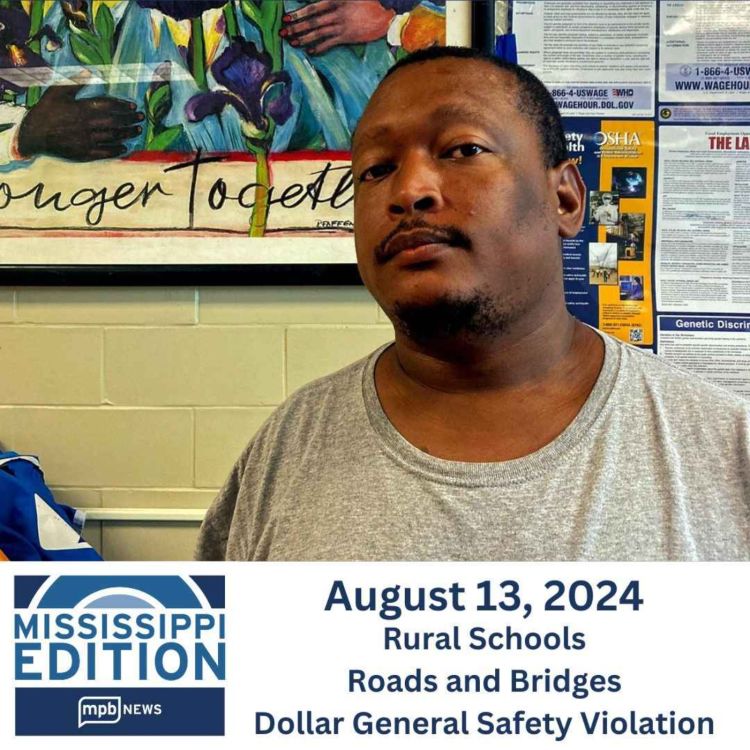 cover art for 08/13/2024: Rural Schools | Roads and Bridges | Dollar General Safety Violation