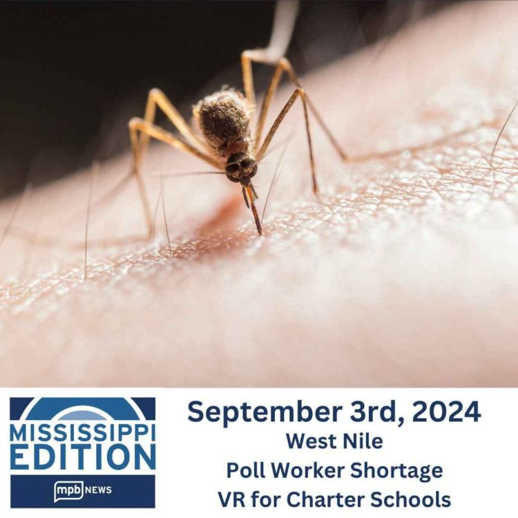 cover art for 09/03/2024: West Nile | Poll Worker Shortage | VR for Charter Schools