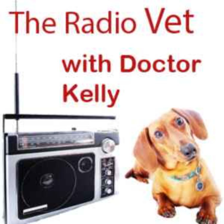 cover art for The Radio Vet with Doctor Kelly - "Food Allergies"