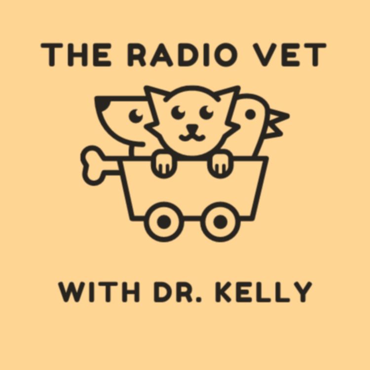 cover art for The Radio Vet with Doctor Kelly - "Kitty Litter Conundrum and Kelly's News"