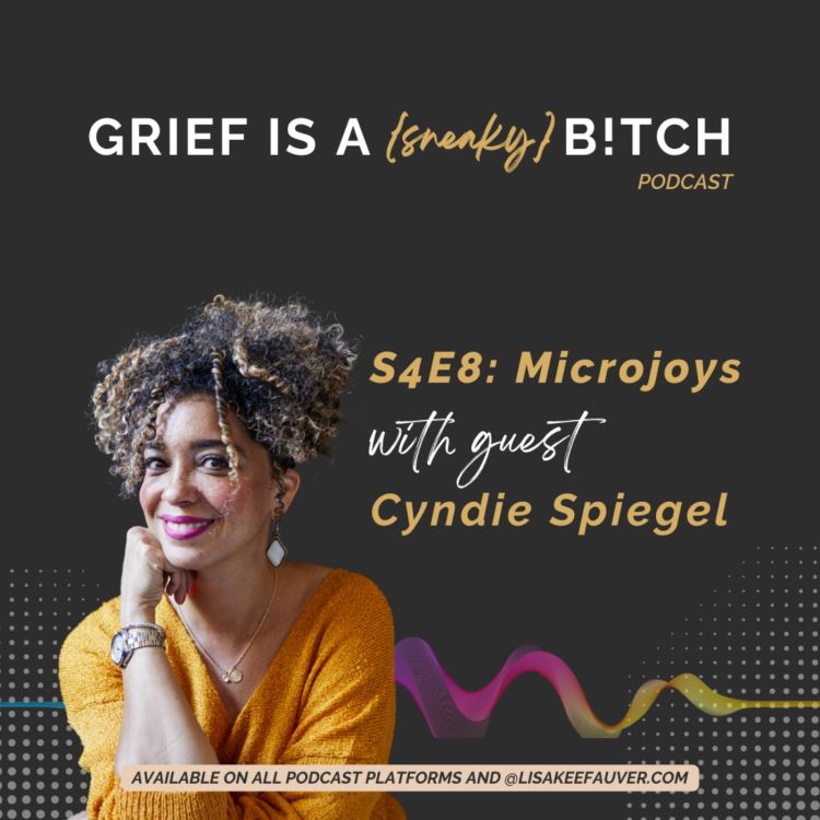 cover art for Cyndie Spiegel | Microjoys