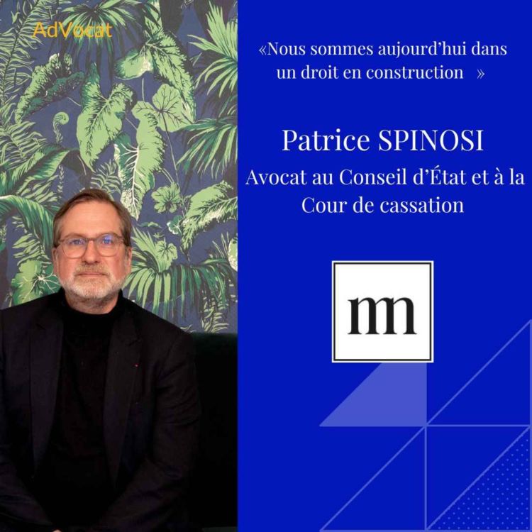 cover art for Patrice Spinosi - Avocat au Conseil d'État et à la Cour de cassation