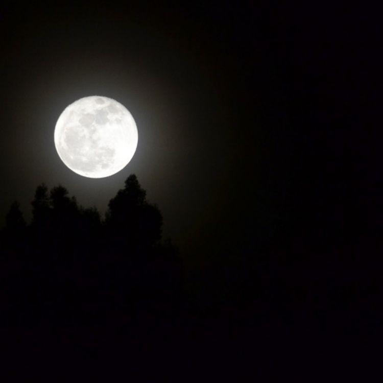 Rising Moon, Falling Moon Floating plushie Acast