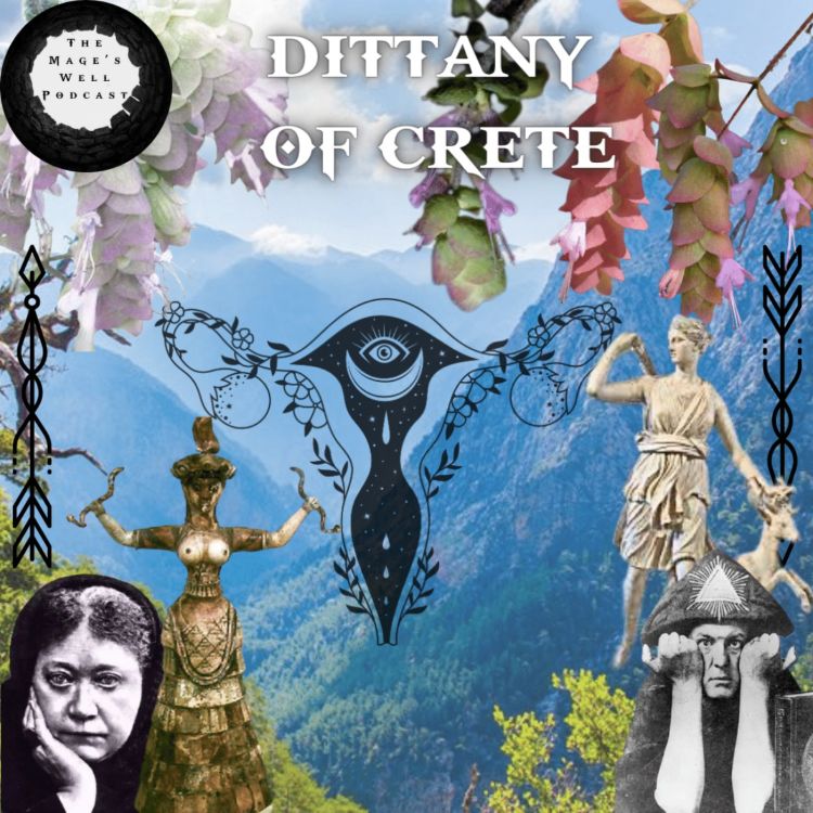 cover art for Dittany of Crete - Witching Herbs