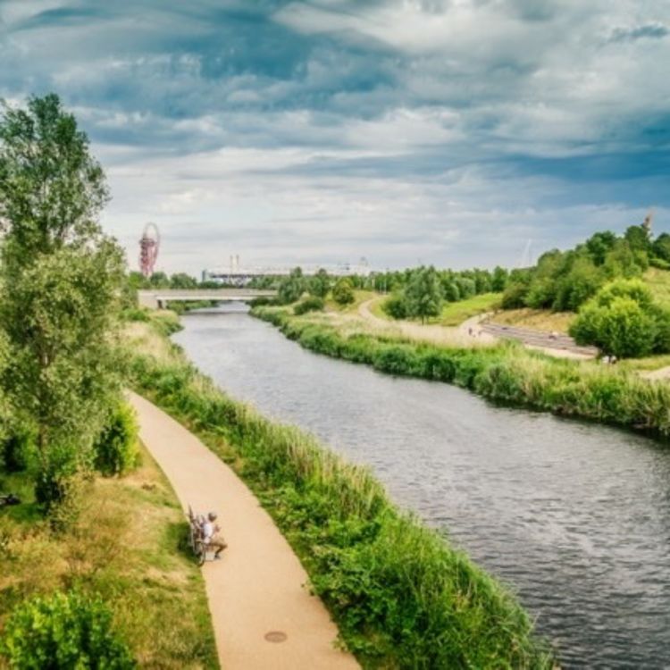 cover art for Wildlife, Woodland and Waterways