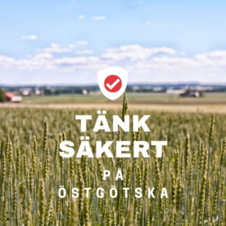 cover art for Tänk säkert på östgötska - fake news