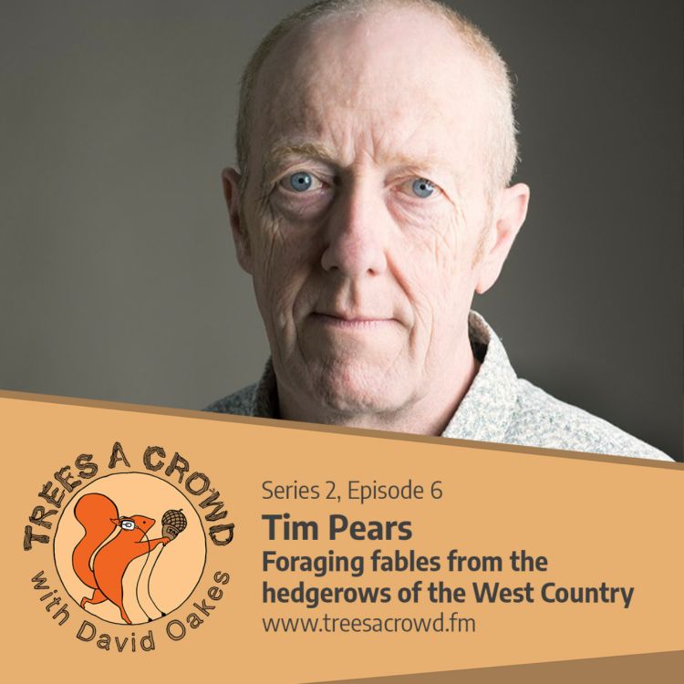 cover art for Tim Pears: Foraging fables from the hedgerows of the West Country