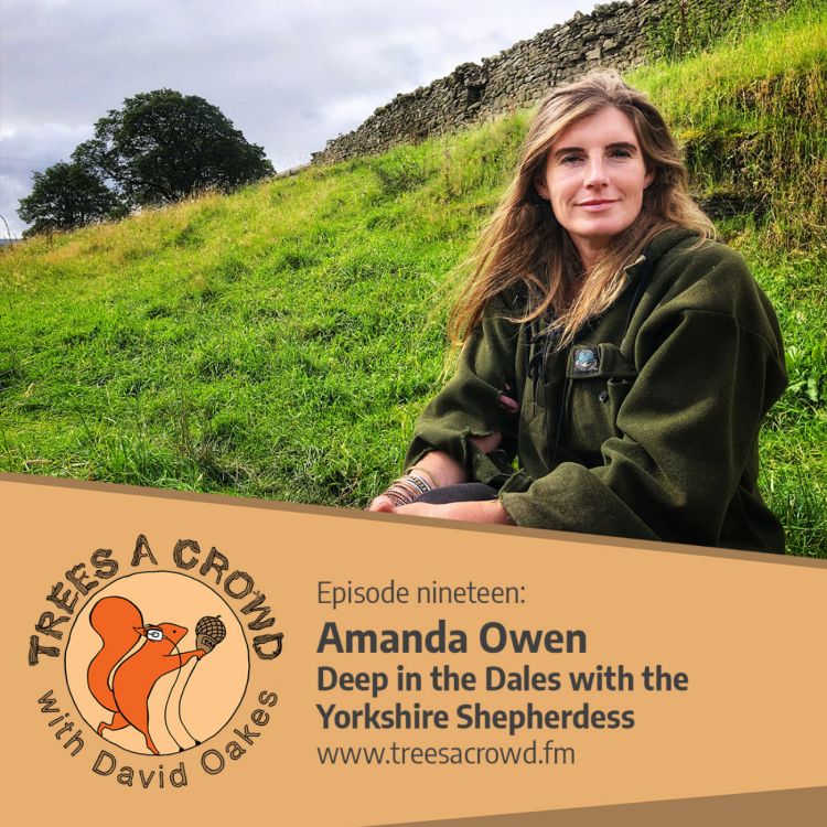 cover art for Amanda Owen: Deep in the Dales with the Yorkshire Shepherdess