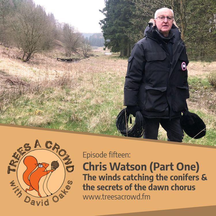 cover art for Chris Watson (Part One): The winds catching the conifers – and the secrets of the dawn chorus