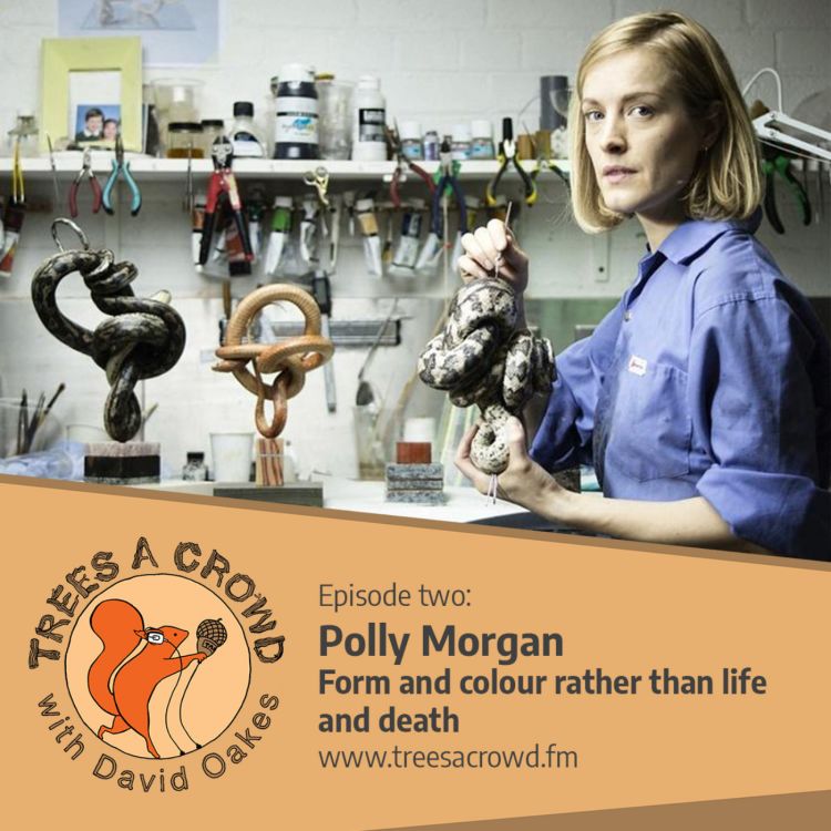 cover art for Polly Morgan: Form and colour rather than life and death