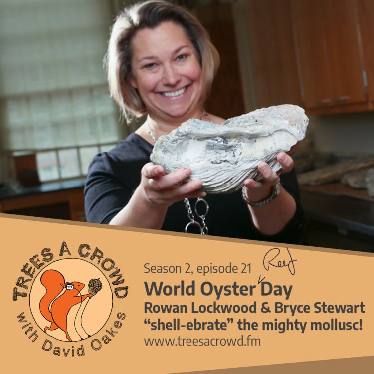cover art for World Oyster Day: Prof. Rowan Lockwood & Dr Bryce Stewart “shell-ebrate” the mighty mollusc!