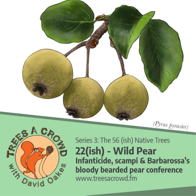 cover art for Wild Pears: Infanticide, scampi & Barbarossa’s bloody bearded pear conference