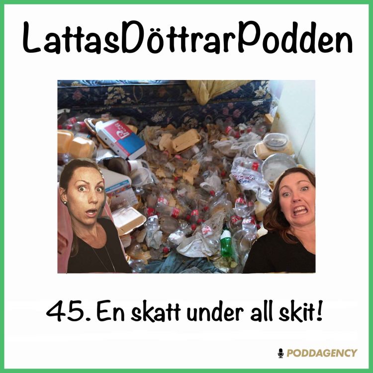 cover art for 45. En skatt under all skit!