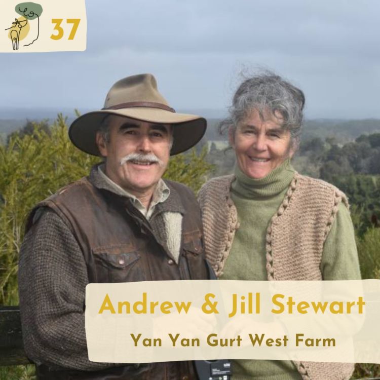 cover art for #37 Increasing tree cover from 3% to 20% for resilience, profit and biodiversity with Jill and Andrew Stewart