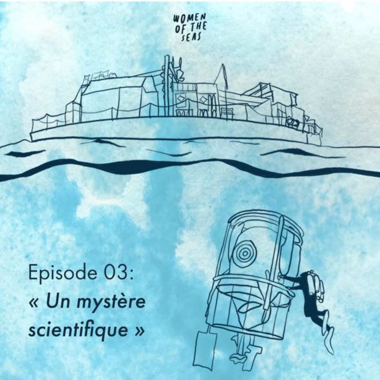 cover art for Saison 3 Episode 03 : "Un mystère scientifique" 