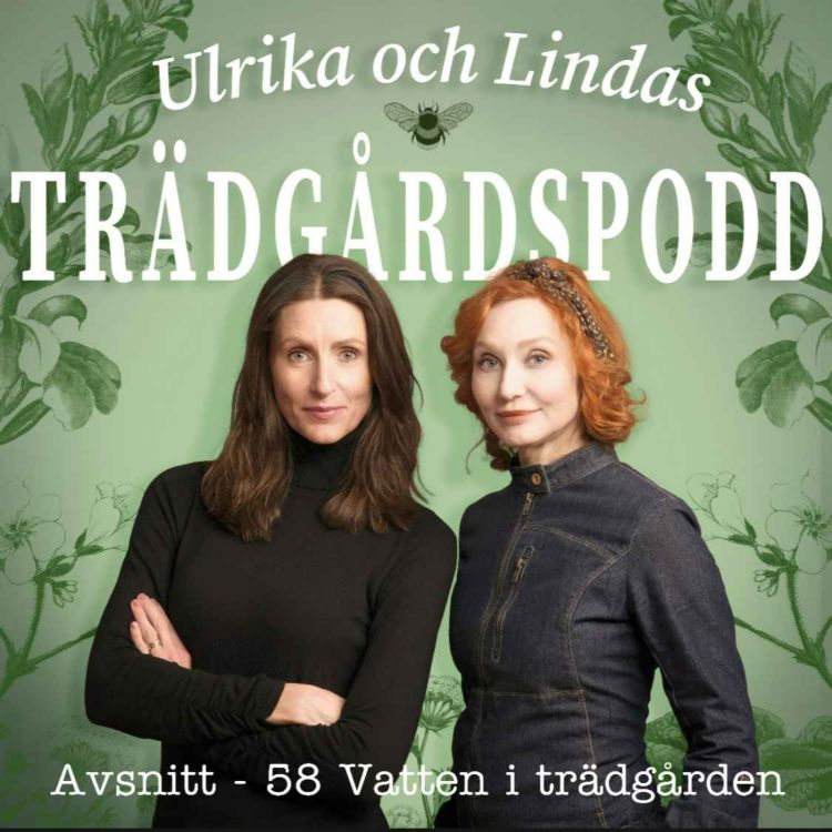 cover art for Avsnitt 58 - Vattenarrangemang i trädgården