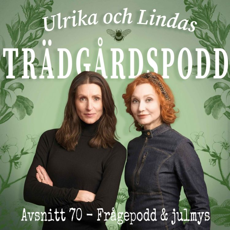 cover art for Avsnitt 70 - Frågepodd och julmys