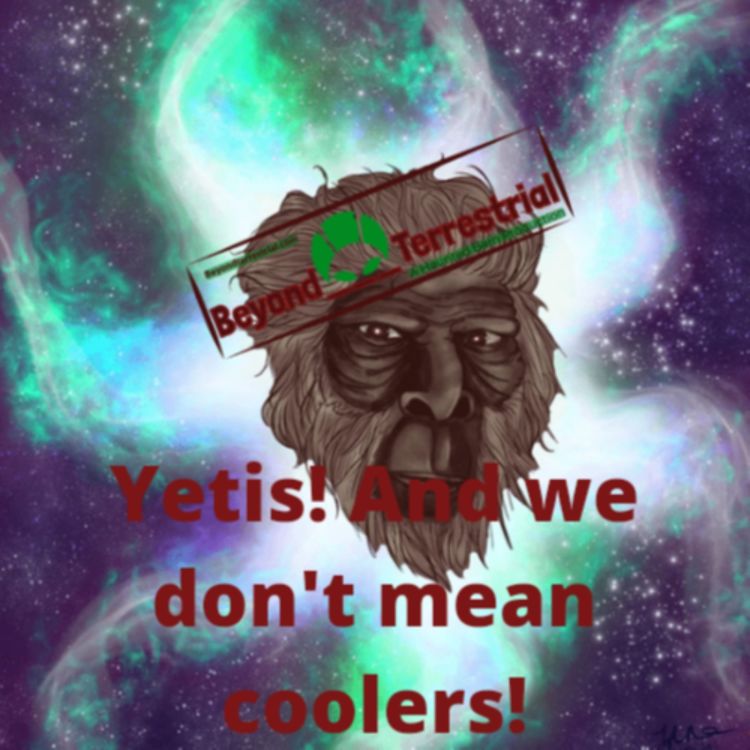 cover art for Yeeting Yetis!