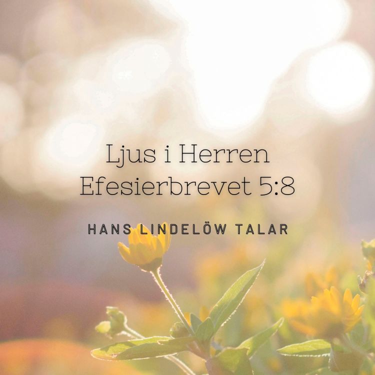 cover art for Ljus i Herren (Ef. 5:8)