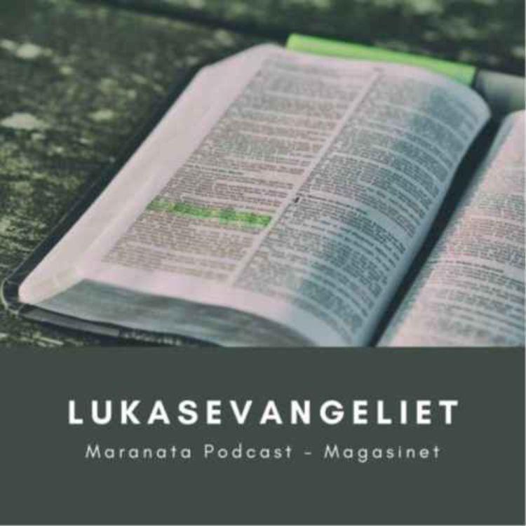 cover art for Lukasevangeliet kapitel 6