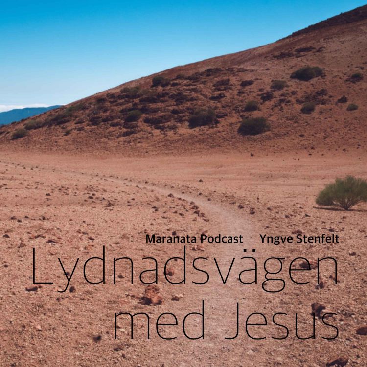 cover art for Lydnadsvägen med Jesus