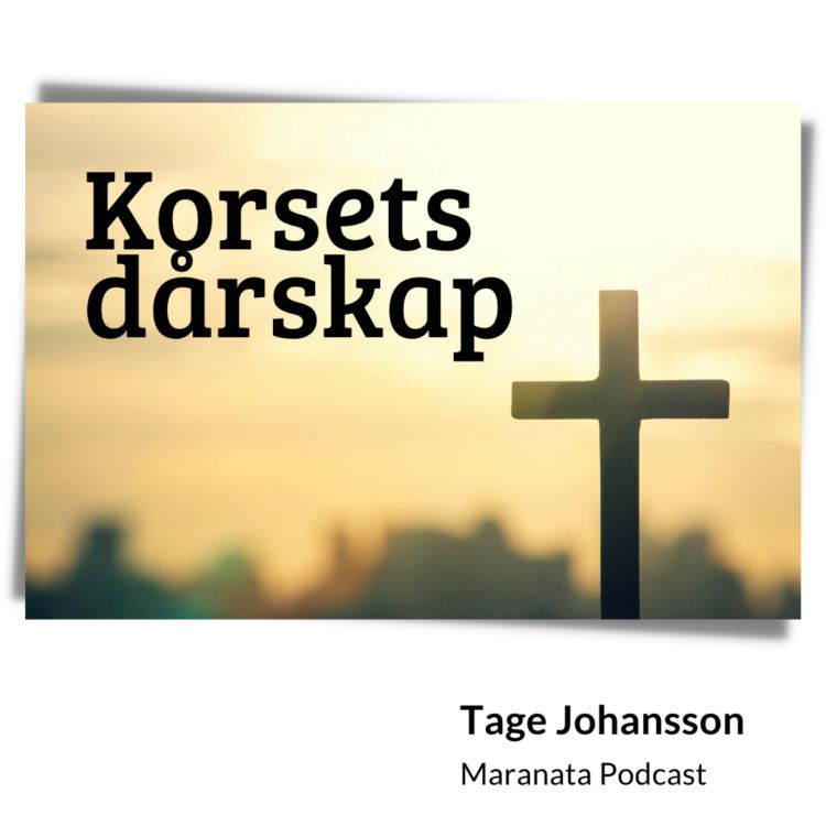 cover art for Korsets dårskap