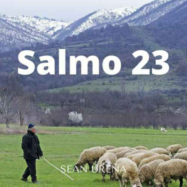 cover art for Salmo 23