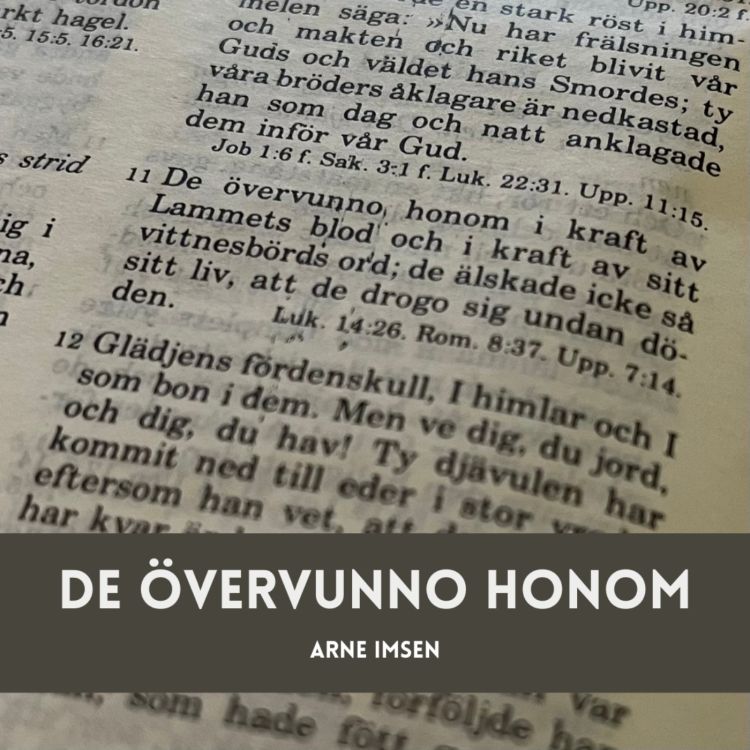 cover art for De övervunno honom