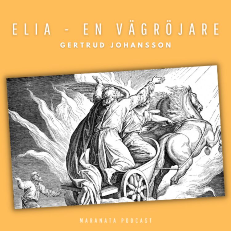 cover art for Elia - En vägröjare