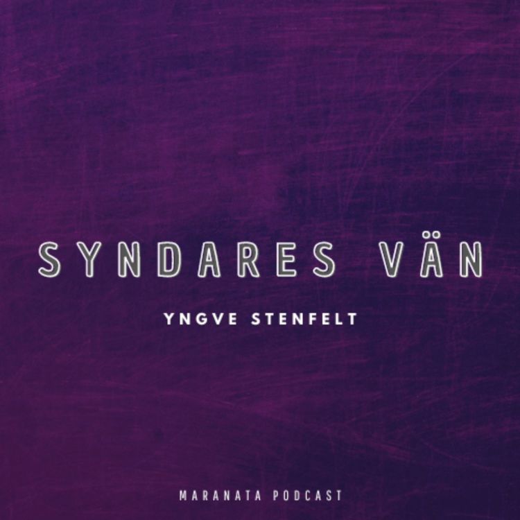cover art for Syndares vän