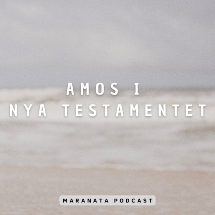 cover art for Amos i Nya Testamentet