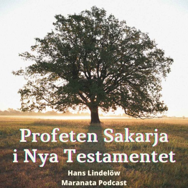 cover art for Profeten Sakarja i Nya Testamentet