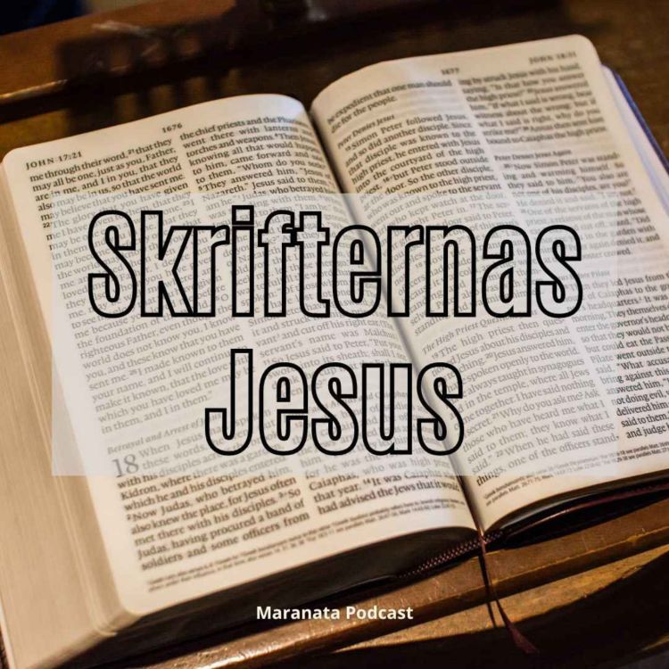 cover art for Skrifternas Jesus