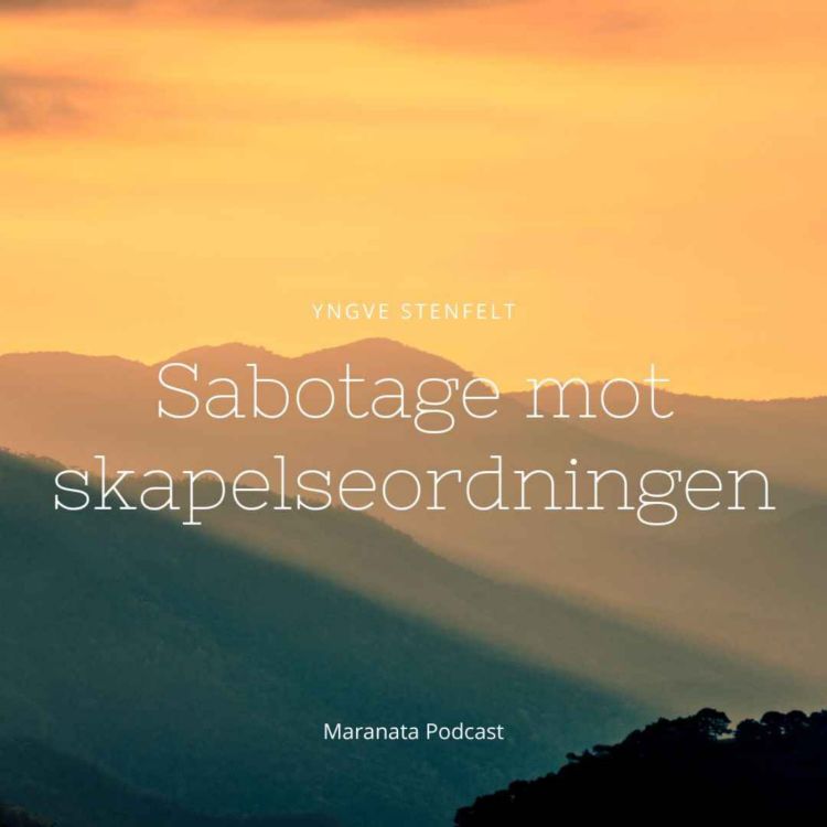 cover art for Sabotage mot skapelseordningen | Yngve Stenfelt