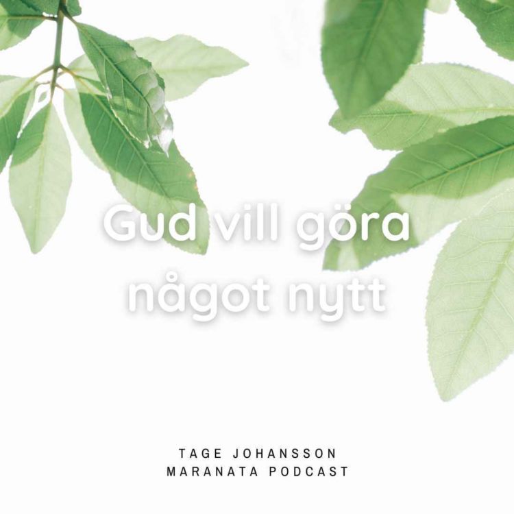 cover art for Gud vill göra något nytt