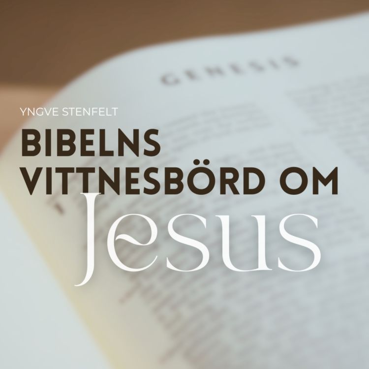 cover art for Bibelns vittnesbörd om Jesus