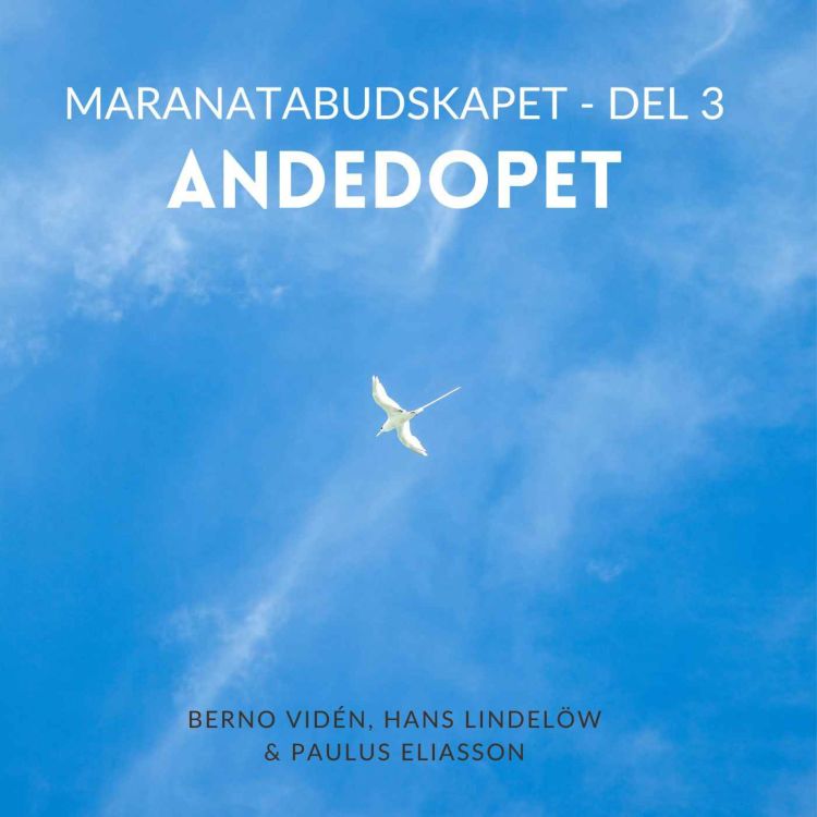 cover art for Andedopet (Maranatabudskapet, del 3)