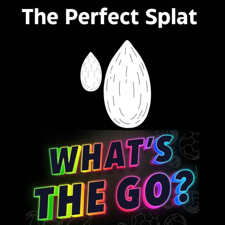 cover art for The Perfect Splat