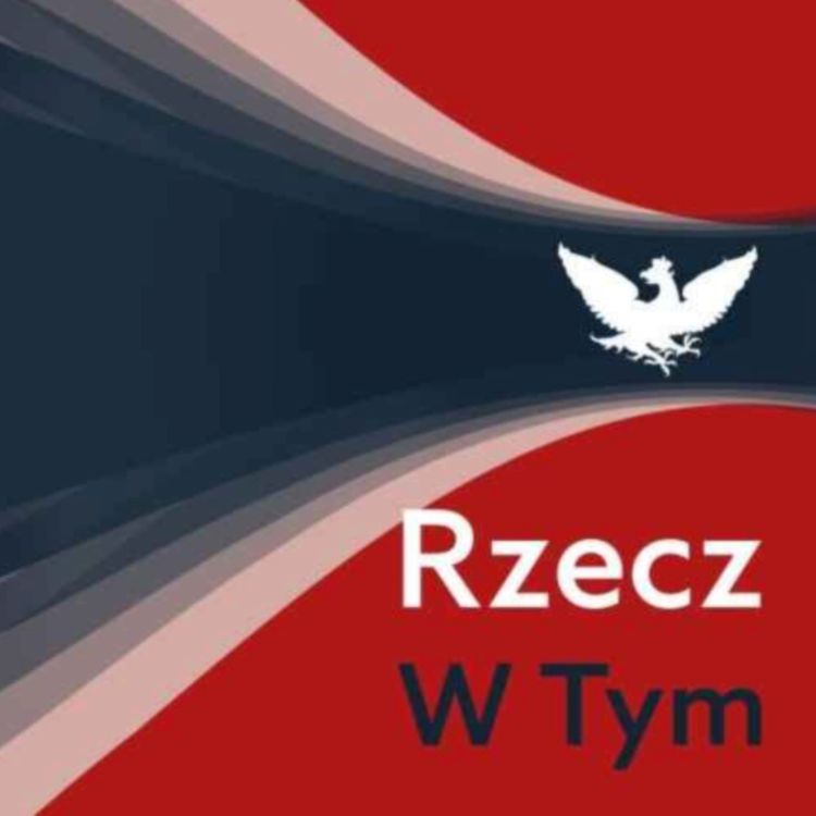 cover art for Dzięki kłopotom Czarneckiego, rząd nie musi się tłumaczyć ze swoich problemów