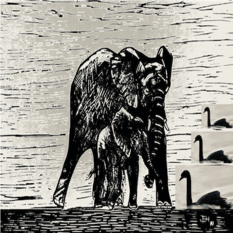 cover art for Black Elephants and Black Swans