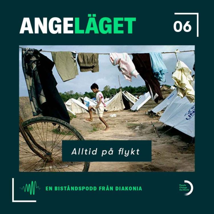 cover art for Alltid  på flykt