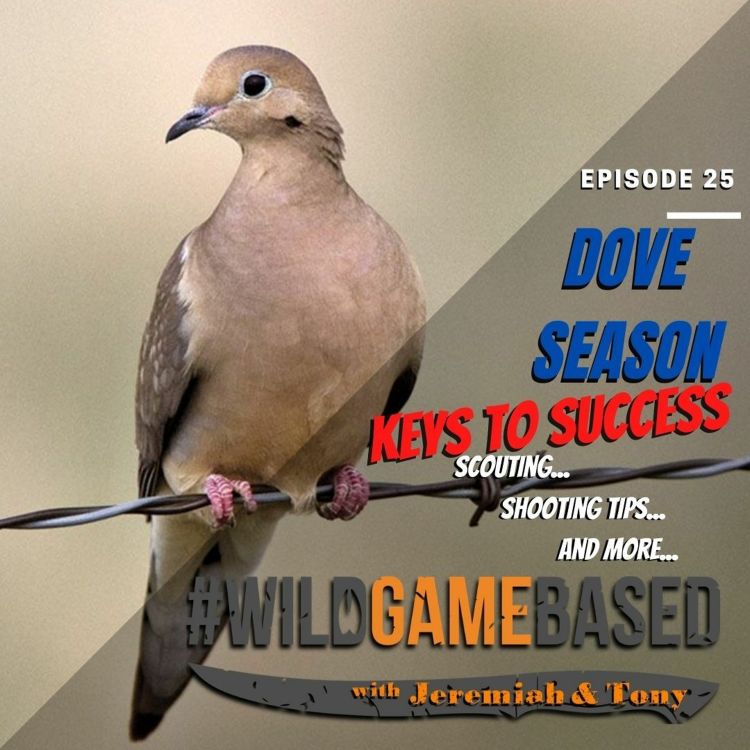 cover art for DOVE SEASON - Keys To Success - Episode 25 - August 26, 2020