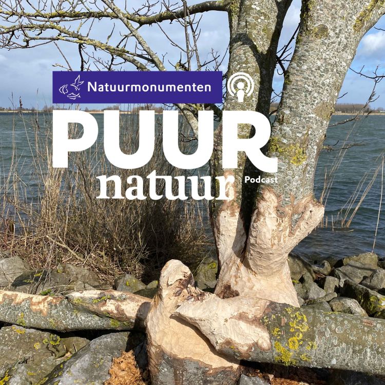 cover art for Puur Natuur: Boswachter Gerwin Geertse over de struinnatuur op Tiengemeten