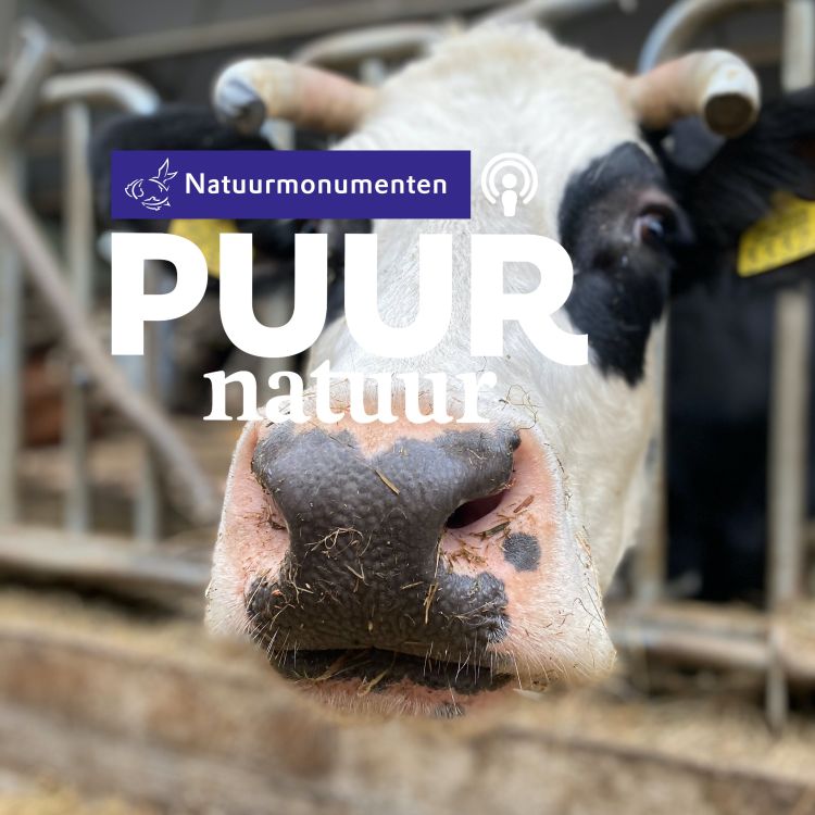 cover art for Puur Natuur: Biologisch boer Jeroen van der Kooij over zijn samenwerking met Natuurmonumenten