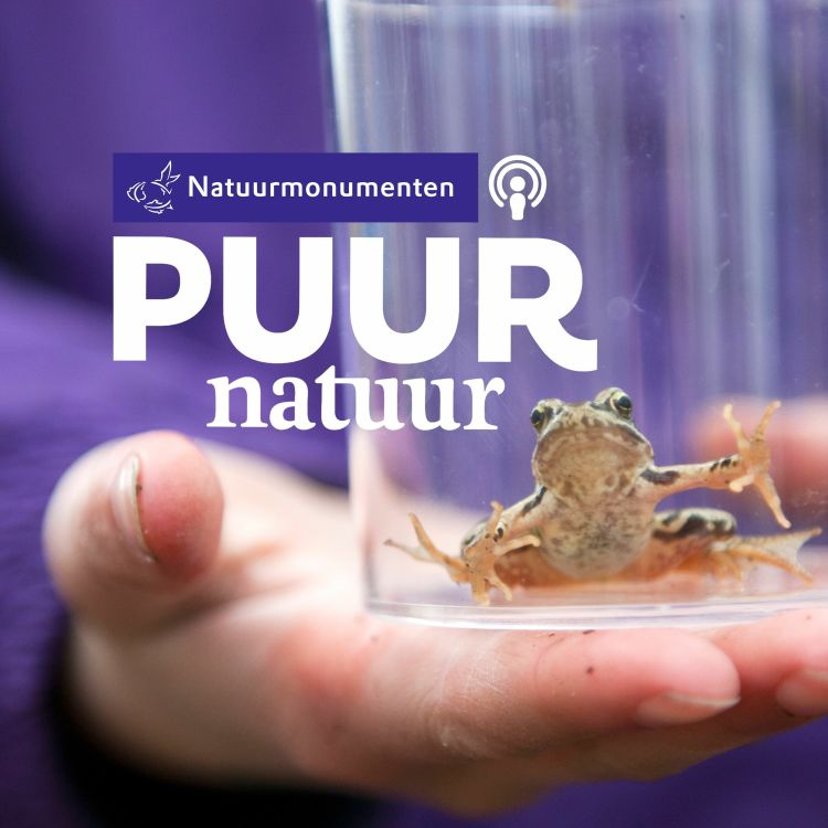 cover art for Puur Natuur: Promo