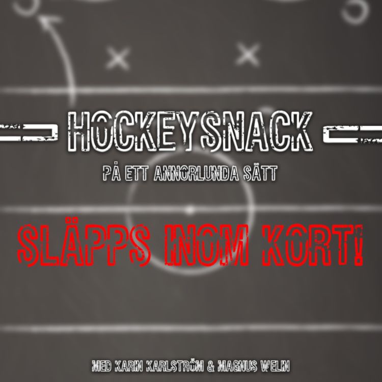 cover art for TRAILER HOCKEYSNACK