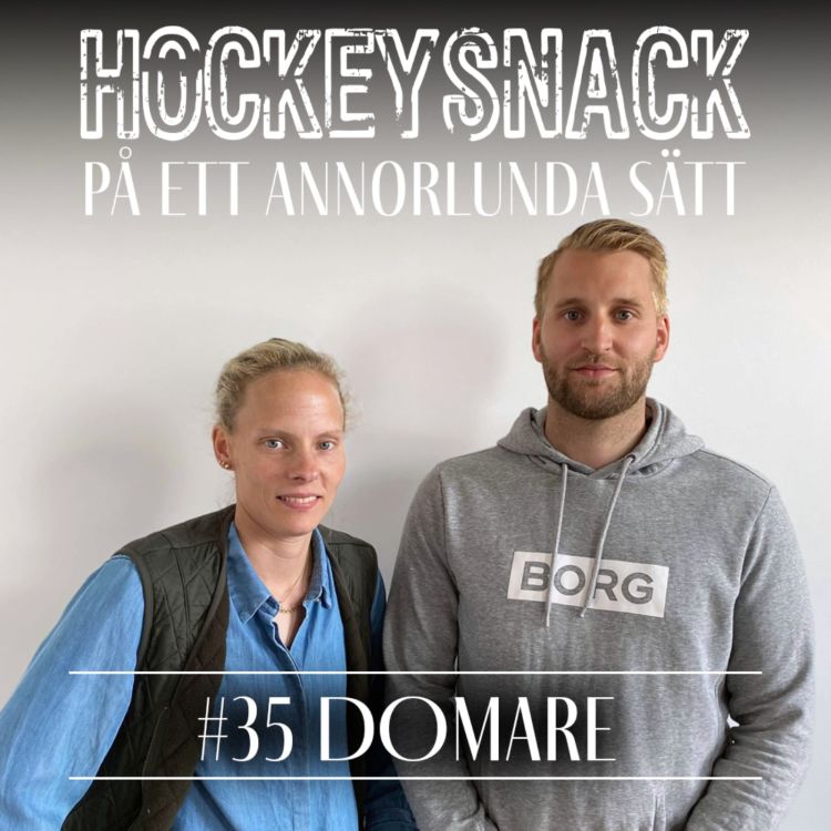 cover art for #35 Domare